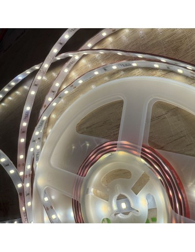 12v-ip65-cool-white-led-strip