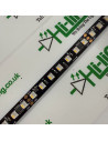 rgbw-pixel-led-streifen-24v-5m-roll