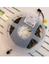 sk6812-led-strip rgbw 12V sk6812-led-strip rgbw 12V