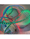 s2814-addressable-rgbw-led-strip-12v