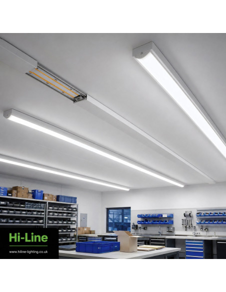 Slim 12mm high brightness COB LED strip 6000K 5 metre