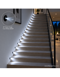 Schwarzer 30 Grad 6000K Mini LED Spot 12V mit Pfund Muenze 2