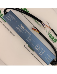 300W 24V DALI-2 DT8 IP67 LED driver, angled view of the 12.5 A label