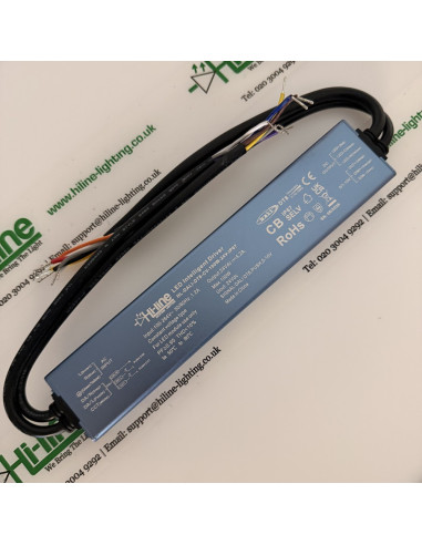 Angled view of the 100 W 24 V driver with both leads looped and the rating label readable along the blue housing.