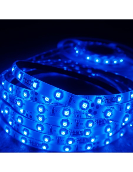 Blue LED Strip 24V IP65