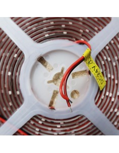 LED-Streifen Grün 24V 2