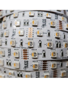 RGBW LED-Streifen (RGB+WW) 24V-14.4W/m