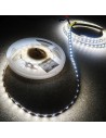 RGBW quad chip LED strip led tape