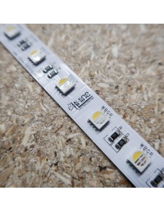 24V RGBW (RGB+NW) CRI80 LED Streifen 10m Rolle 12mm