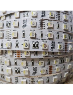 RGBW LED Streifen RGB+CW 24V 10 Meter Rolle 2