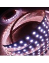 14,4W/m 24V RGB+WW IP00 CRI80 LED-Streifen SMD5050 10m Rolle