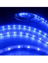 led strip blue 14.4 W/m