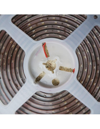 Cool White LED Strip IP68 underwater proof