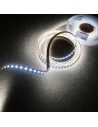6000K Kaltes Weiß LED-Streifen 24V 14.4W/m IP00 CRI90 SMD2835