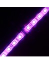Strip to strip connector for 10mm IP65 LED tape RGB colour (pack of 5)