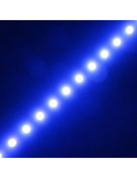 rgb+warm white led tape 24v