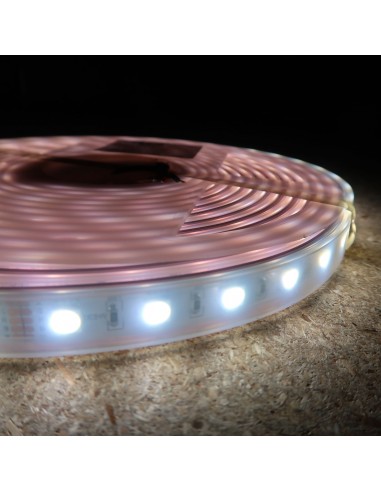 RGBW LED Strip, 60 LEDS per meter, 5 meters roll, 300LEDS, 24V non waterproof 