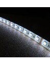RGBW LED Strip (RGB+CW) 24V-14.4W/m- IP65-CRI80-12mm/2oz PCB-5m Roll
