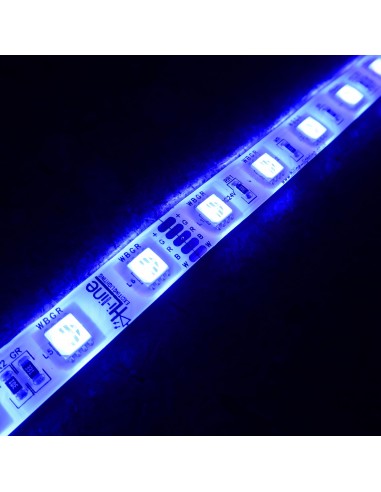 RGBW LED-Streifen (RGB+WW) 24V-14,4W/m- IP68 (Polyurethane Schicht)-CRI80-SMD5050