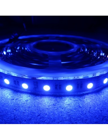 RGBW (RGB+KW) LED Streifen 10m Rolle