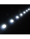 RGBW quad chip LED strip led tape