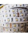 Tunable white LED strip 120 LEDs per meter 14.4W