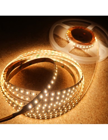 Tunable white LED strip 2in1 LEDs x 120 per meter 19.2W