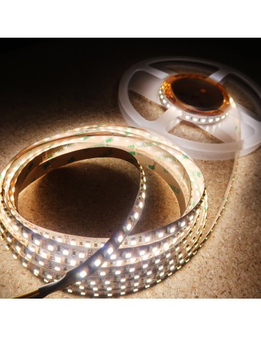 Tunable white LED strip 2in1 LEDs x 120 per meter 19.2W
