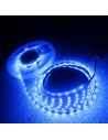 Blue LED Strip 24V 4.8W/mIP00-8mm wide-5m roll-SMD3528