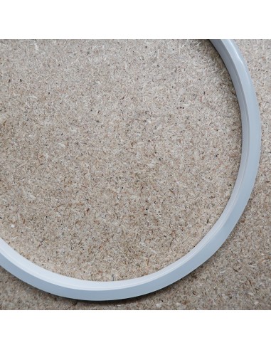 Red LED NEON FLEX 24V IP68 10x20mm (Sold Per Metre)