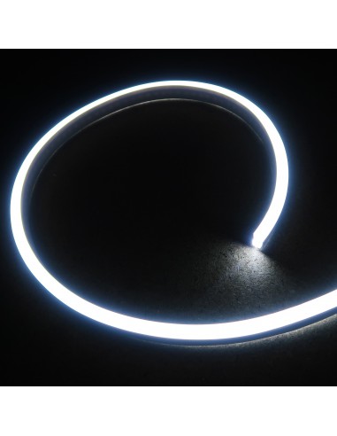 LED NEON FLEX Cool White 24V IP68 10x20mm (Sold Per Metre)