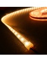 IP67 5m Warm White LED Strip 24V 14.4W/m