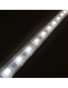 IP67 10m RGBW Natural White LED Strip 24V-14.4W/m 2