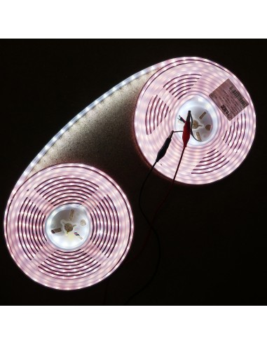 IP67 10m RGBW Cool White LED Strip 24V-14.4W/m