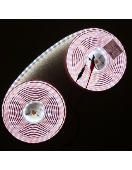 IP67 10m RGBW Cool White LED Strip 24V-14.4W/m