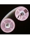 IP67 10m RGBW Cool White LED Strip 24V-14.4W/m IP67 10m RGBW Cool White LED Strip 24V-14.4W/m