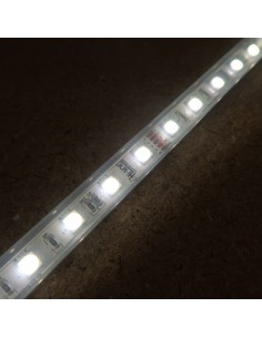 RGBW LED Strip (RGB+NW) 24V-14.4W/m- IP67-CRI80-SMD5050 2
