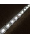 RGBW LED-Streifen (RGB+NW) 24V-14,4W/m- IP67-CRI80-SMD5050