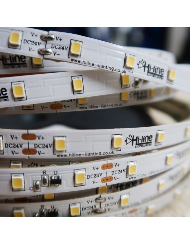 20m roll cool white 6000K cri 90 LED Strip 24V 4.8w/m 115 lm/watt IP00