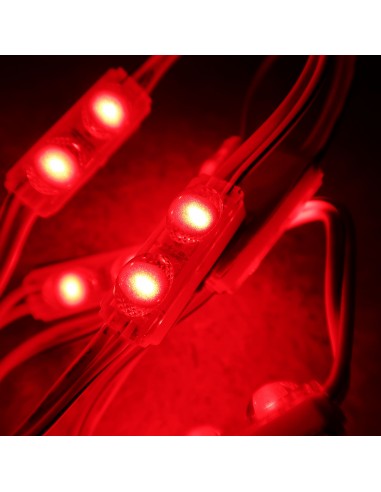 Red Micro Sign twin LED module 24V 0.48W IP67 (string of 40)