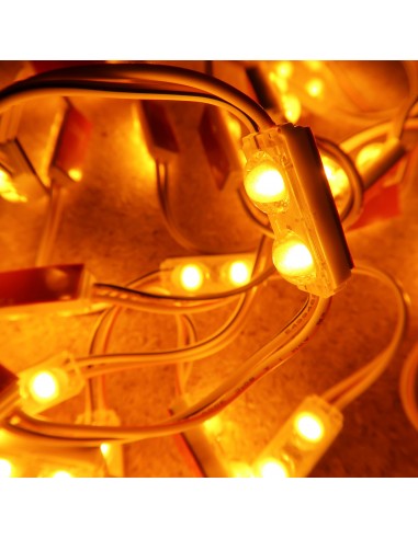 Amber Micro Sign twin LED module 24V 0.48W IP67 (string of 40)