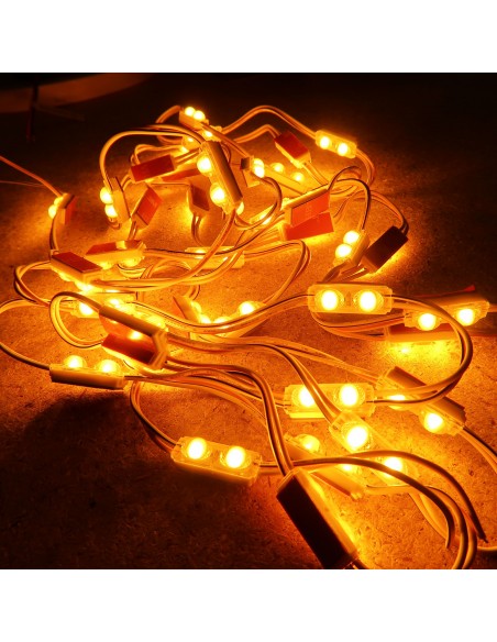 Amber Micro Sign twin LED module 24V 0.48W IP67 (string of 40)