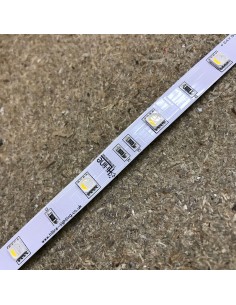 RGBW LED-Streifen (RGB+WW) 24V-7,2W/m- IP00-CRI80-SMD5050 2