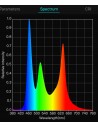 RGBW LED Strip 24V RGB+CW IP67 RGBW LED Strip 24V RGB+CW IP67