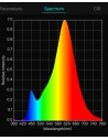 RGBW LED Strip (RGB+NW) 24V-14.4W/m- IP67-CRI80-SMD5050