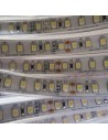 Kaltweißer LED-Streifen 24V | 9,6W/m | IP67 | CRI80 | SMD3528