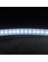 Kaltweißer LED-Streifen 24V | 9,6W/m | IP67 | CRI80 | SMD3528