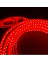 Rot LED-Streifen 24V | 9,6W/m | IP65 | CRI70 | SMD3528