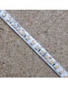 Warmweißer LED-Streifen 24V | 9,6W/m | IP65 | CRI80 | SMD3528