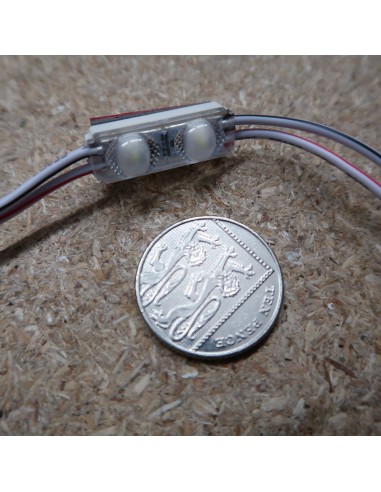 Red Micro Sign twin LED module 24V 0.48W IP67...